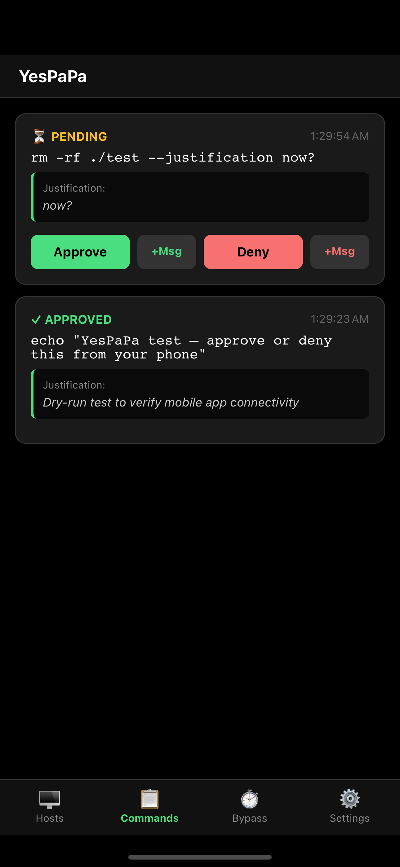 YesPaPa app showing command approval interface